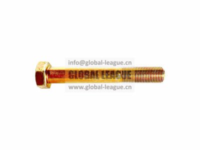Hex Head Bolt   Q151B16110T1F3