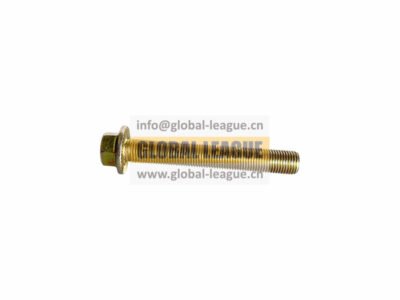 Hexagon head bolt   Q18114100TF3