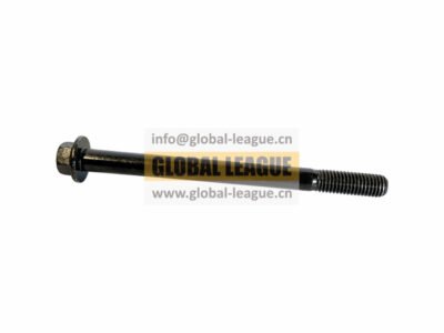 Hex Flange Bolt   SXQ18410130T1F60