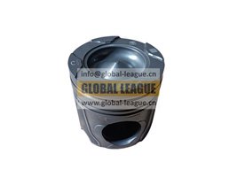 1004011C81DM   1004011C81DM  Piston