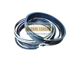 1004BBB-81D   1004BBB81D  Piston ring