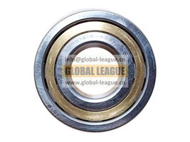 1701215-A2V-C00_A   1701215A2VC00_A  Cylindrical roller bearing, front bearing of the intermediate shaft