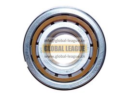 1701225-A2V-C00_A   1701225A2VC00_A  Intermediate shaft rear bearing