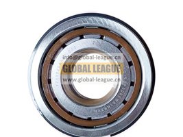 1701225AA4P-C00   1701225AA4PC00  Cylindrical Roller Bearing with Retaining Ring