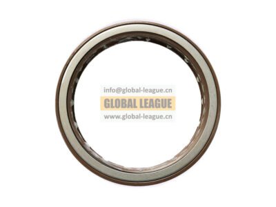 Oil seal  19109-5   191095