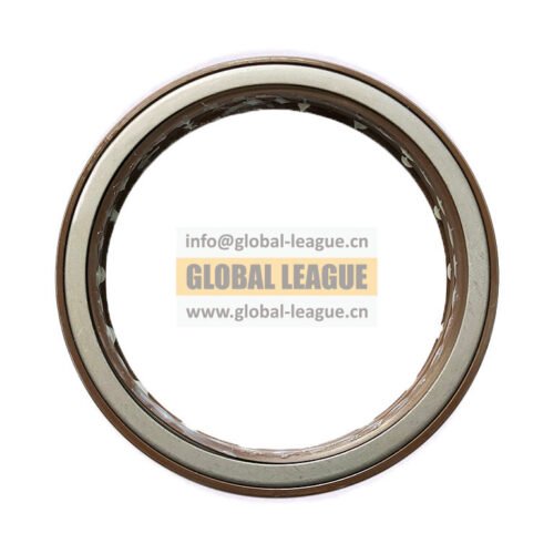 Oil seal  19109-5   191095