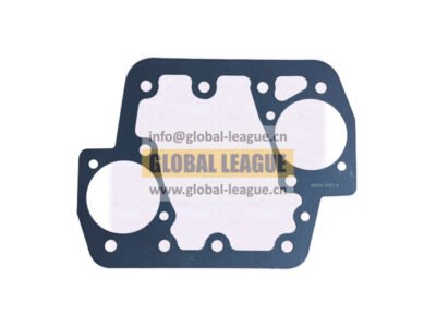 Gasket  20822-3   208223