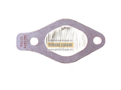 Pipe joint gasket  Note: Upper assembly Water pump  3027924X