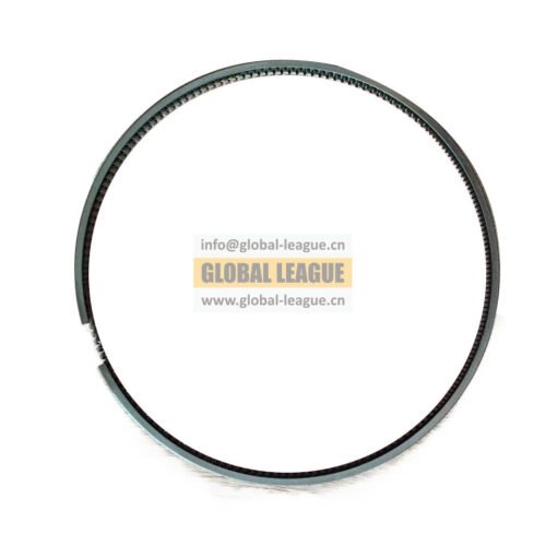 3102367X Oil ring 3102367X