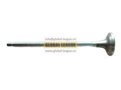 3417779X Exhaust valve Note: Length 195.5mm, diameter 42.5mm, 9.5mm 3417779X
