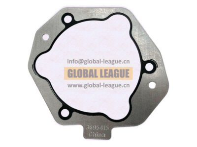 Fuel pump gasket  3695415X