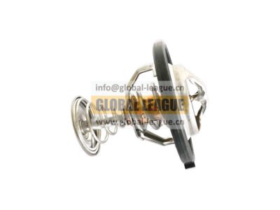 Thermostat  3696214X