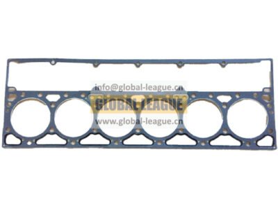 Cylinder head gasket  4022500X