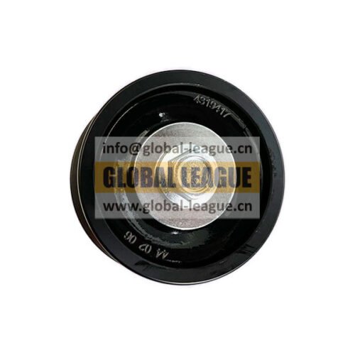 Idler pulley  4319417X