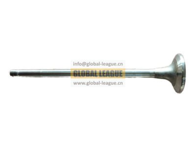 Intake valve  Note: Length 195.5mm, diameter 42.5mm, 9.5mm  4926069X
