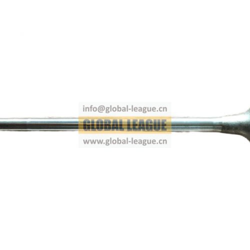 Intake valve  Note: Length 195.5mm, diameter 42.5mm, 9.5mm  4926069X