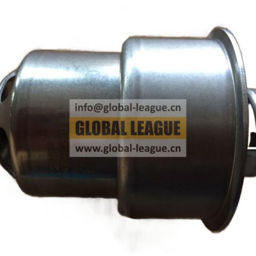 Thermostat  4952630X