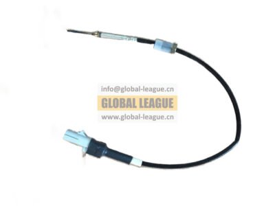 Temperature sensor  Note: Export temperature sensor_Euro 5, updated to 5462426X  4954574X