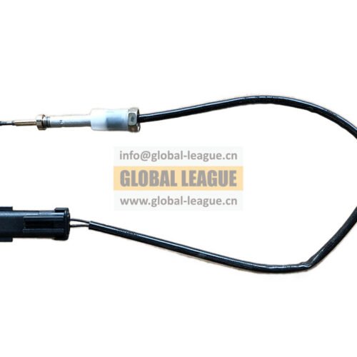 Temperature sensor  Note: Import temperature sensor_Euro 5, updated to 5462425X  4902912X