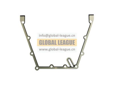 5558450X Oil pump gasket 5558450X