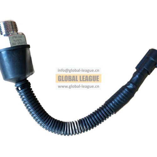 Pressure switch 0069-1  791.00.71.0069-1   791.00.71.00691