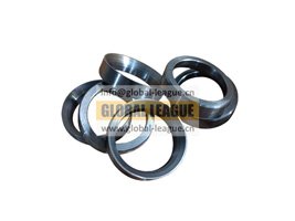 81560040037  81560040037 Exhaust valve seat ring