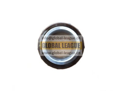 DS100-1701085 Long cylindrical roller bearing without outer ring DS100-1701085 DS1001701085