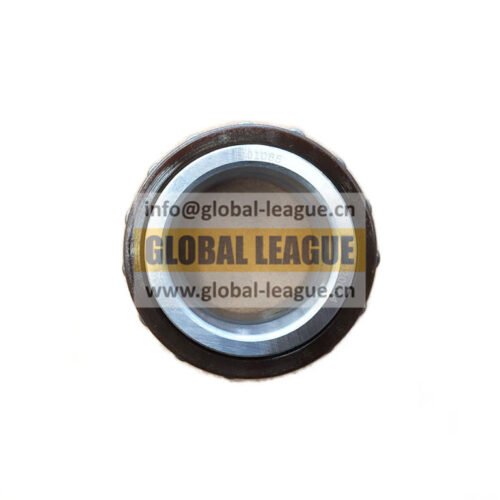 Long cylindrical roller bearing without outer ring  DS100-1701085   DS1001701085