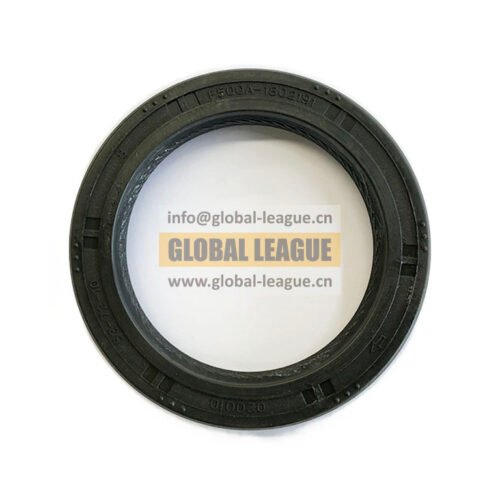Oil seal  F500A-1802191   F500A1802191
