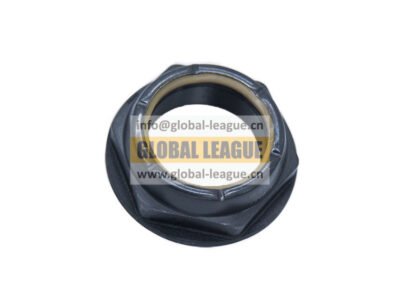 Camshaft nut  F96006   F96006