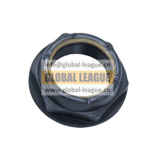 Camshaft nut  F96006   F96006