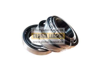Combination bearing  JS220-1707109   JS2201707109