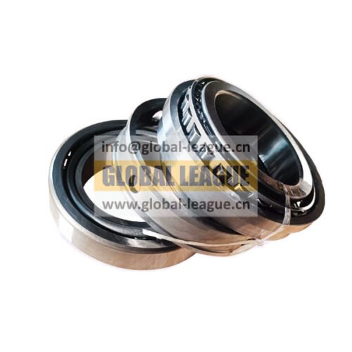 Combination bearing  JS220-1707109   JS2201707109
