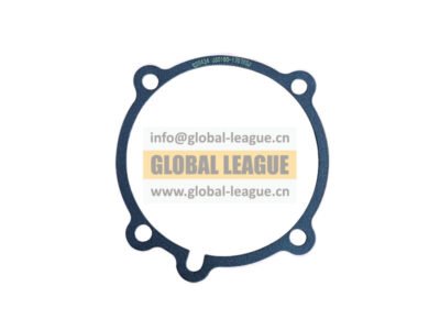 Bearing cover gasket  JSD180-1707053   JSD1801707053