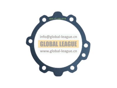 Bearing cover gasket  RTD-11609A-1707156   RTD11609A1707156