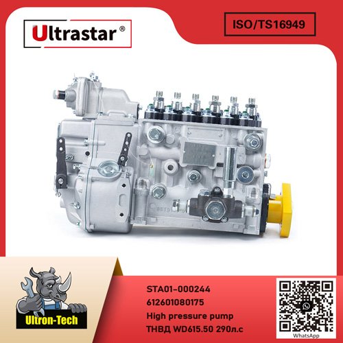 Fuel Injection Pump  STA01-000244 612601080175 612601080175
