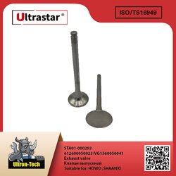 Exhaust valve STA01-000293 612600050025/VG1560050041 612600050025/VG1560050041