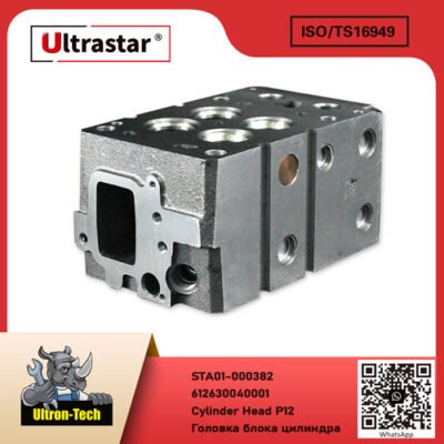 Cylinder Head P12 STA01-000382 612630040001 612630040001