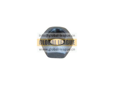 X-1-603 Hex Nut (M10_1 Thick Nut) X-1-603 X1603