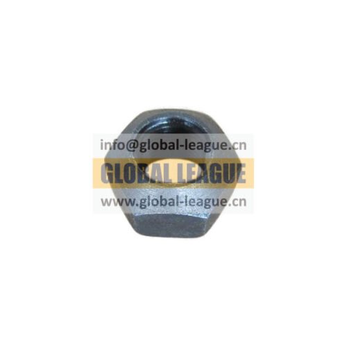 Hex Nut (M10_1 Thick Nut)  X-1-603   X1603